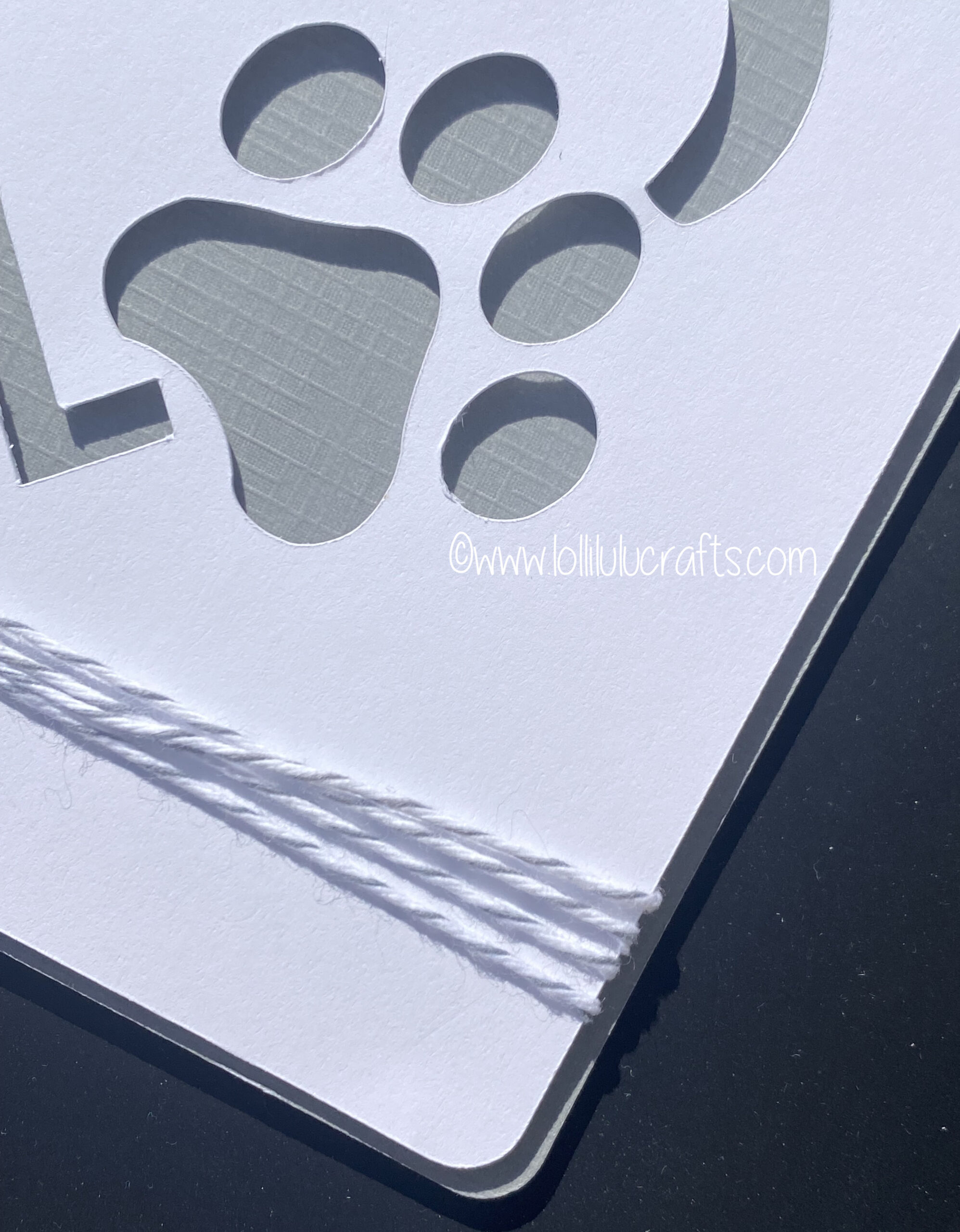 CPSIMG_4318